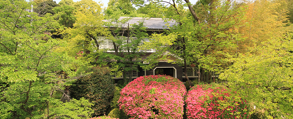 桃花塾の理念「生命への畏敬」