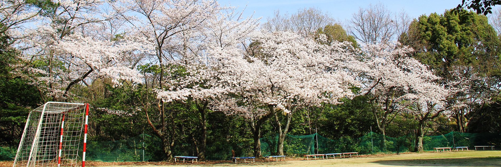 桃花塾