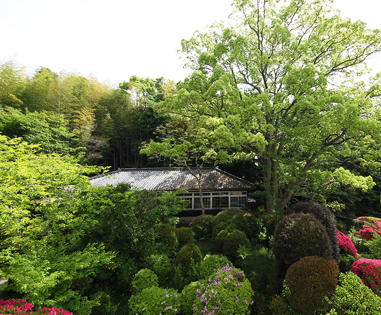 桃花塾