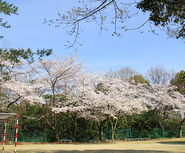 桃花塾