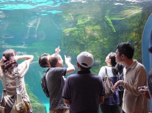 水族館２