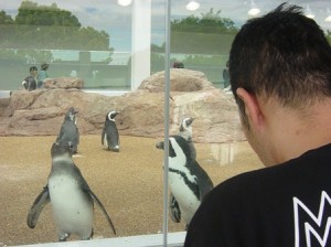 水族館８