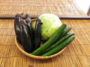 採れたて！旬の夏野菜（ショップパンジーより）