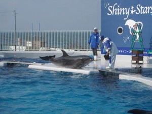 成人部　秋季社会見学?〜みさき公園〜