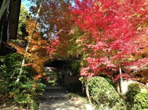 桃花塾の秋景色