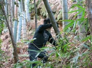 里山保全活動〜タケチッパー〜