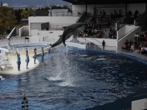 京都水族館に行ってきました♪〜児童部〜