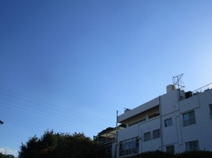 秋晴れの１日