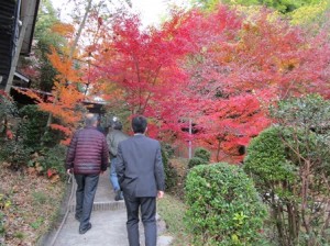 里山保全活動〜大阪みどりのトラスト協会さん来塾〜