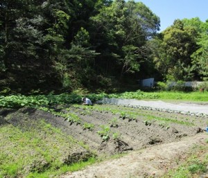 春の植え付け〜通所部からのお便り〜