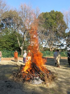 とんど祭り〜２０１６〜