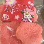 大人気♪桃のフレーバー入り? ももかの桃のお花クッキーです( *´艸｀)