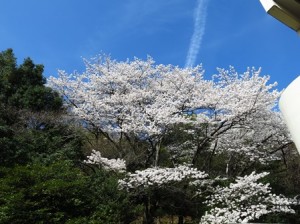 ２０１８〜全体会議で集合写真♪〜