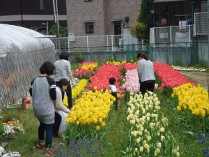 チューリップを摘みに♪ピーチサークル