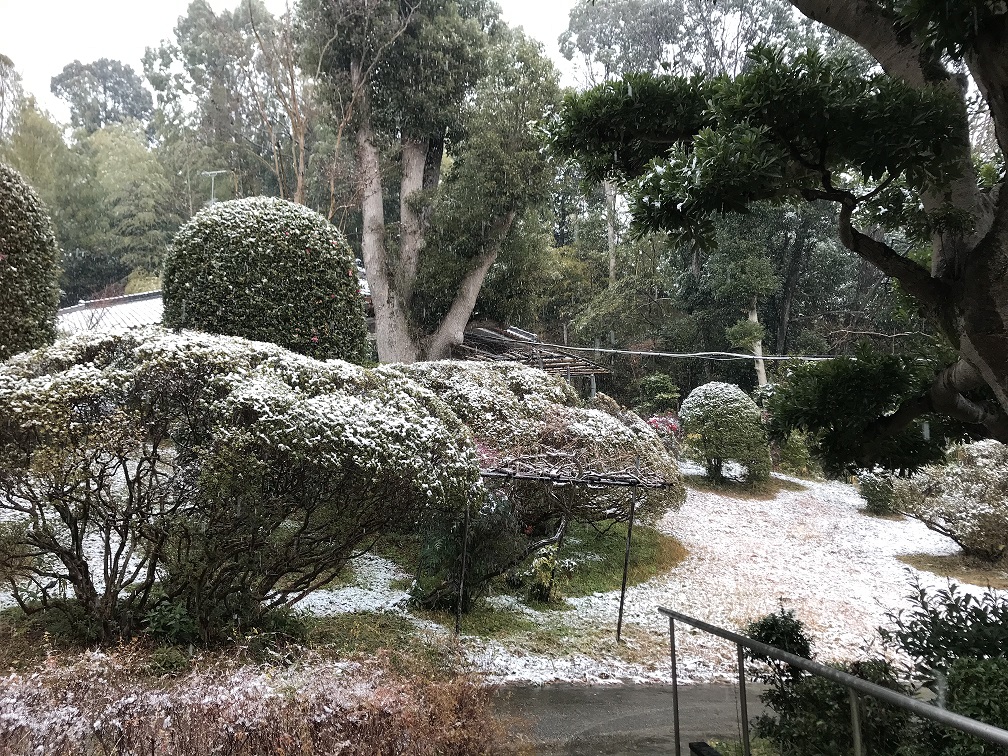 寒い朝でした~桃花塾雪景色~