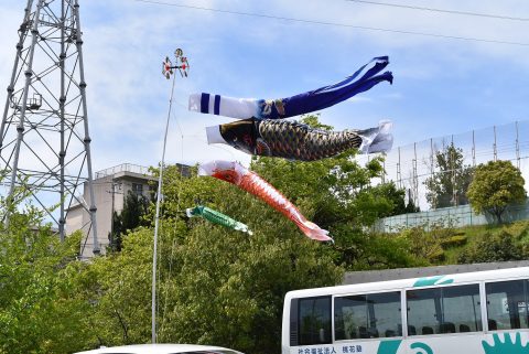 こいのぼりの様に🎏