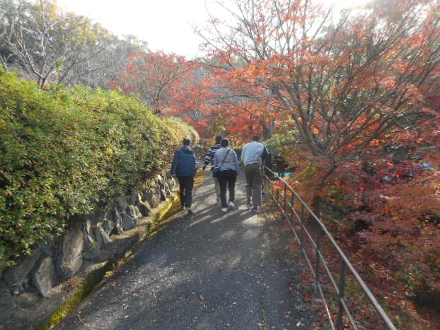 玉手山公園~成人部　秋のぶらり　お出かけ　其の九~