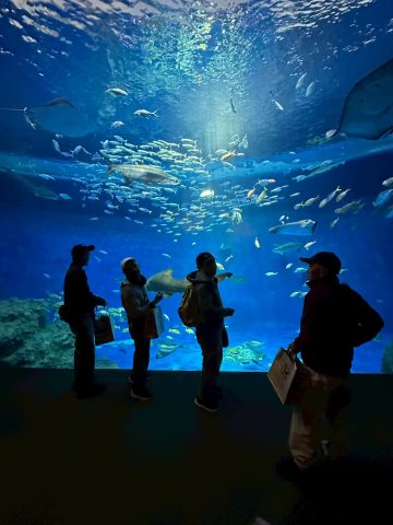 通所部「日帰り旅行　須磨シーワールドへの旅」